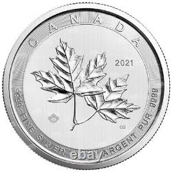 10 oz 2021 Royal Canadian Mint Magnificent Maple Leaves Silver Coin