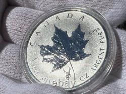 1988-2023 CANADIAN MAPLE LEAF SILVER Collection Display Box (Album)