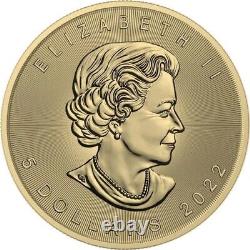 1 Oz Silver Coin 2022 Canada $5 Maple Leaf Seasons August Bejeweled Leaf Insert