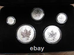 2004 Canada Silver Maple Leaf Privy Mark Set (Reverse Proof Finish)