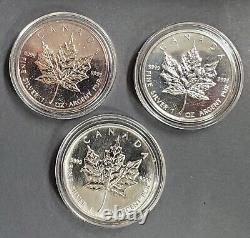 2005 Canada Silver Maple Leaf Lot of (3) 1oz Coins