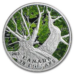 2013 Canada 1 oz Silver $20 Maple Canopy Spring (withBox & COA) SKU #75821