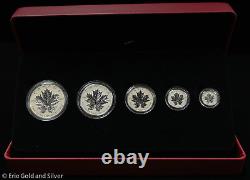 2013 Canada Silver Maple Leaf Fractional 25th Anniv 5 Coin Set