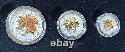 2014 Canada Fractional Fine Silver Set The Maple Leaf Reverse Proof/Gold Plated