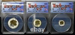 2014 Canada Gilded Silver Maple Leaf 5 Coin Set ANACS RP70 DCAM First Release