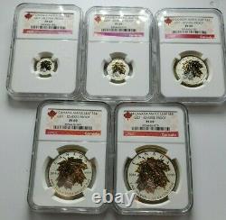 2014 Canada Silver Maple Leaf Gilt Reverse Proof Set NGC Set of 5 Coins