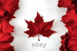 2015 Canada Maple Leaf $5 Fine Silver Incuse 1 oz ENAMED NGC PF69