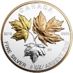 2016 Canada A Historic Reign Pure Silver Maple Leaf Fractional Set