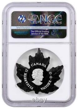 2016 Canada Maple Leaf Silhouette Canada Geese 1/2 oz Silver Proof $10 NGC PF69