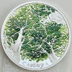 2018 $30 Canadian Canopy The Maple Leaf, 2 oz. Pure Silver Colored Proof Coin