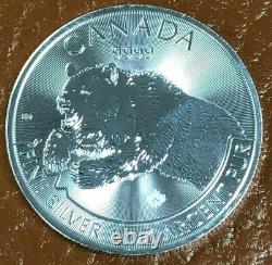 2019 Canada $5 Grizzly Bear 1 oz Silver Coin Maple Privy