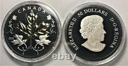 2020 Maple Leaves Motion $50 5OZ Pure Silver Proof Coin with Gold & Rhodium