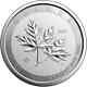 2021 10 Oz Canadian Silver Magnificent Maple Leaf Ships In Mint Capsule