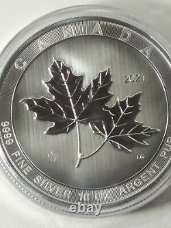 2021 10 oz Canadian Silver MAGNIFICENT MAPLE LEAF ships in mint capsule
