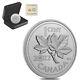 2022 Canada 5 Oz Proof Silver Last Penny 10th Ann Coin. 9999 Fine (withbox & Coa)