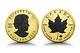 2023 Canada Maple Leaf 24k Gold & Black Platinum Gilded 1 Oz Silver Mintage 500