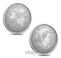 2024 Canada Autumn Beauty Silver Maple Leaf 1.9 oz SML Fractional 5-Coin Set