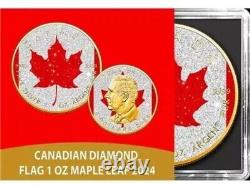 2024 Canada Maple Leaf Diamond Flag Edition 1 oz Silver Coin