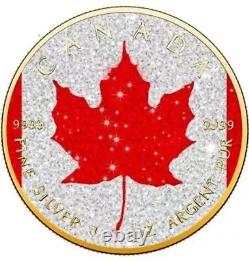 2024 Canada Maple Leaf Diamond Flag Edition 1 oz Silver Coin