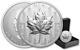 2024 Canada Pulsating Forest Maple Leaf 1 Oz Silver Ultra High Relief Coin Jp724