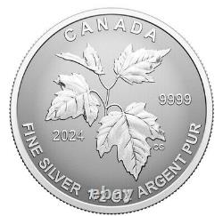 2024 Canada Silver Autumn Beauty 5 coin SML Silver Maple Leaf Fractional Set