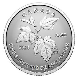 2024 Canada Silver Autumn Beauty 5 coin SML Silver Maple Leaf Fractional Set