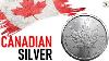 20 Ounces Of Silver Canadian Maple Leaf Coins Easy To Sell Beautiful And Cheaper To Stack