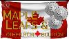 Build Wealth With Royal Canadian Mint Silver Coins U0026 Bars