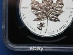 CANADA 2017 Silver Maple Leaf with Cougar Privy Mark (NGC PF70 First Releases)