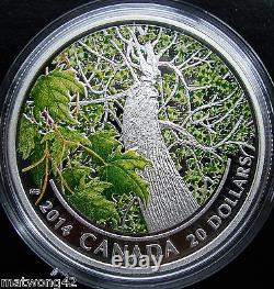 CANADA $20.999 Fine Silver 1 oz. Coin Maple Canopy Spring 2014 SOLDOUT