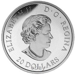 Canada 1 Oz Silver $20, Special Puzzle Coin, Maple Leaf Maze, 2016