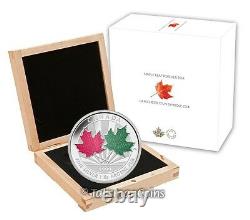 Canada 2014 Maple Leaf Forever $250 1 Kilogram Pure Silver Kilo Red Green Enamel