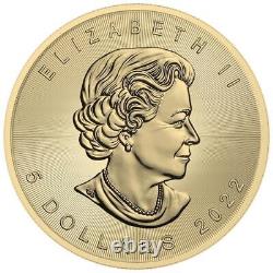 Canada 2022 $5 Maple Leaf Murano Glass Series Grasshopper 1 Oz Silver Coin
