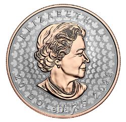 Canada $20 Dollars Super Incuse Silver Maple Leaf Coin IN STOCK NOW