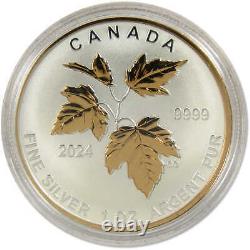 Canada's Autumn Beauty 2024 Silver Maple Fractional Set COA SKUOPC111