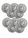 Lot Of 10 Silver 2021 Canada 1 Oz. 9999 Silver Maple Leaf $5 Coins