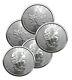 Lot Of 5 Silver 2022 Canada 1 Oz. 9999 Silver Maple Leaf $5 Coins
