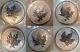Lot Of 6 X 2004 Zodiac Maple Leaf Privy Mark 1oz. 9999 Silver Coins Canada