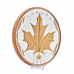 Maple Leaf 5 oz Proof Silver Coin 50$ Canada 2021