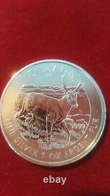 Maple Leaf Silver Coins Cougar, Bald Eagle, Pronghorn Antelope, Maple Leaf