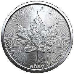 Monster Box of 500 2023 Canada 1 oz Silver Maple Leaf $5 Coins GEM BU PRESALE