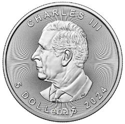 Monster Box of 500 2024 Canada 1 oz Silver Maple Leaf $5 Coins GEM BU PRESALE