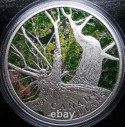 NEW Canada 2013 1 oz Fine Silver $20 Coin Maple Canopy Spring SOLD OUT