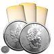 Roll Of 25 2023 1 Oz Canada 9999 Fine Silver Maple Leaf $5 Coin Bu In Stock