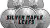 Should We Be Stacking The 2023 Canadian Silver Maple Leafs My Thoughts